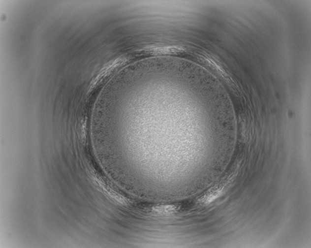 X0000059820357200510241401