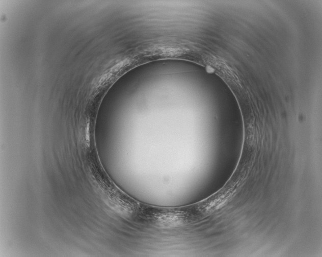 X0000059820358200510241401