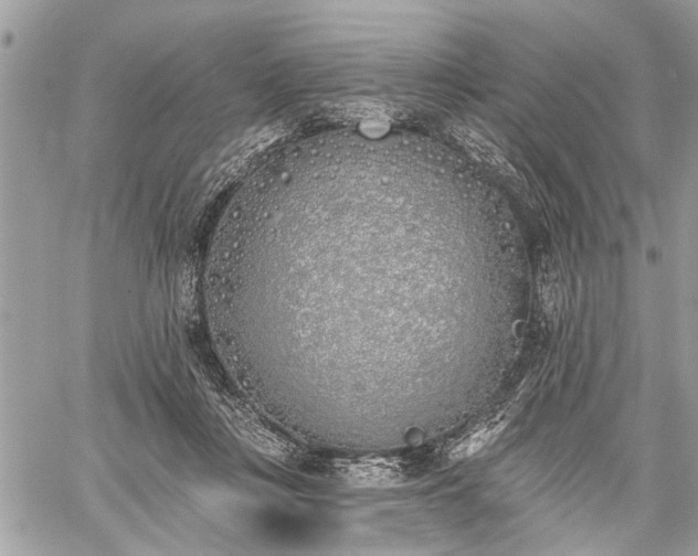 X0000059820359200510241401