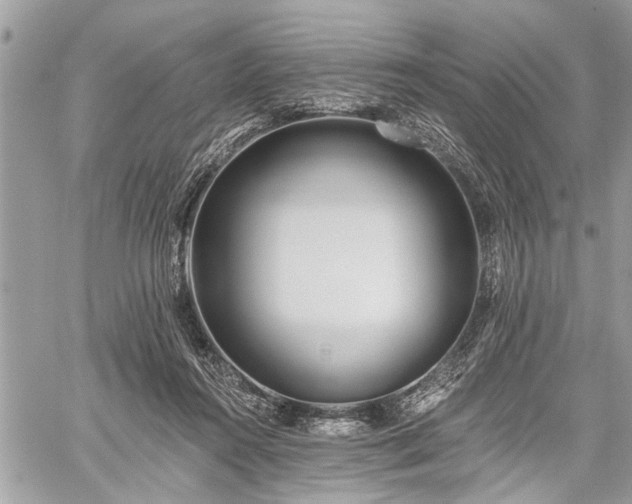 X0000059820360200510241401