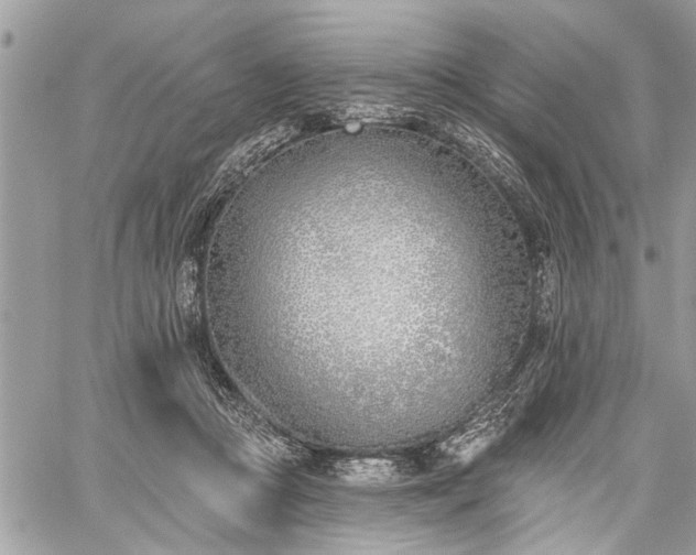 X0000059820361200510241401