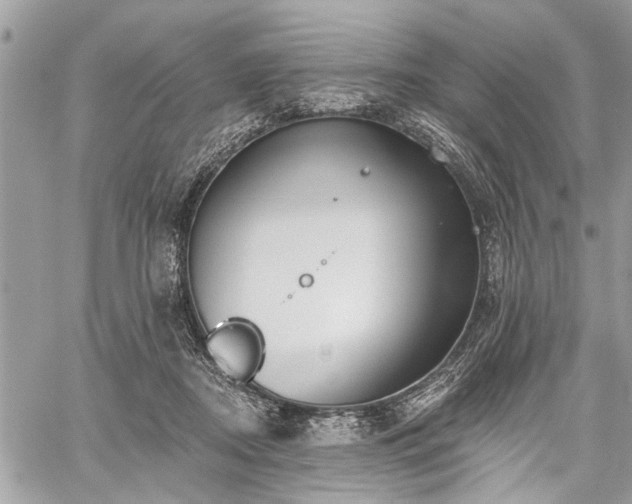 X0000059820362200510241401