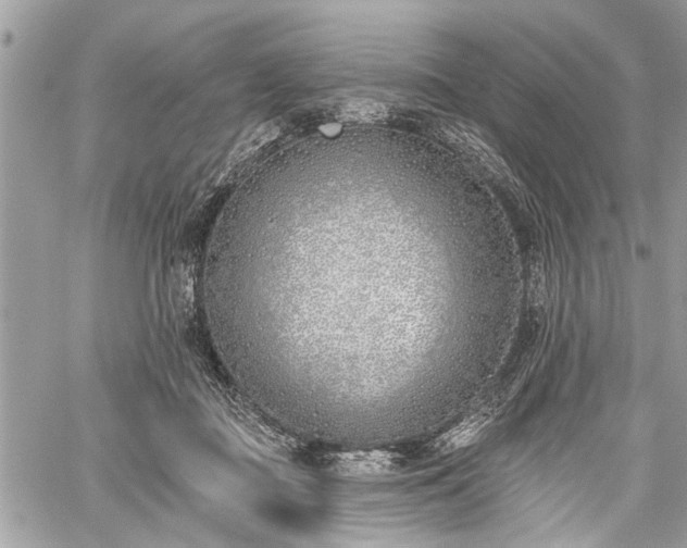 X0000059820363200510241401