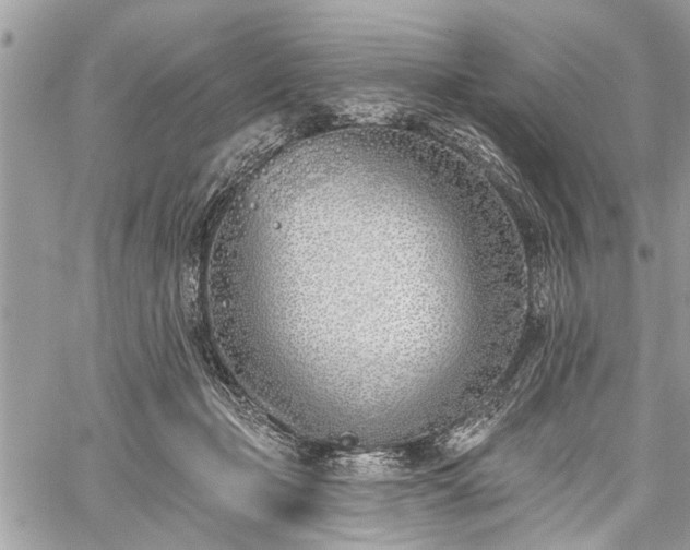 X0000059820365200510241401