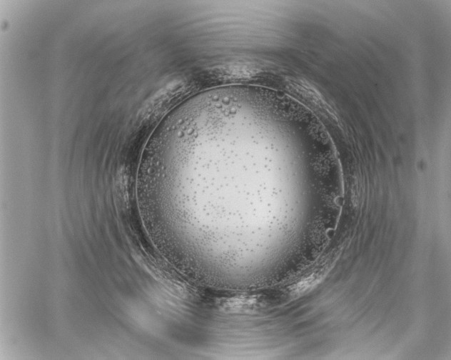 X0000059820366200510241401