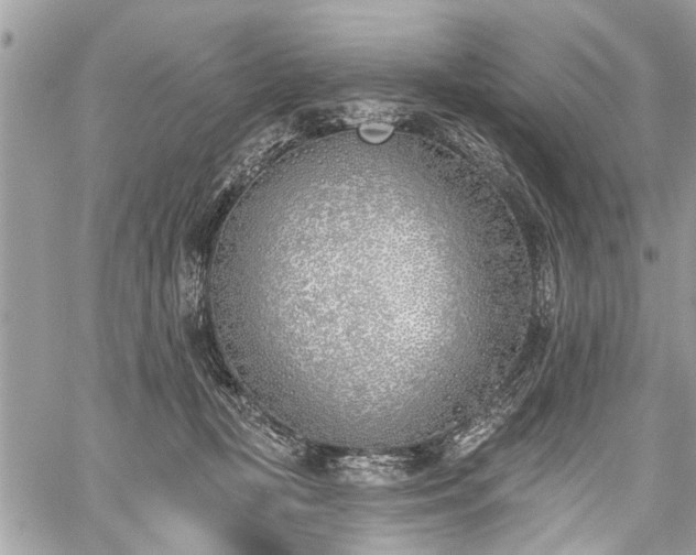 X0000059820367200510241401