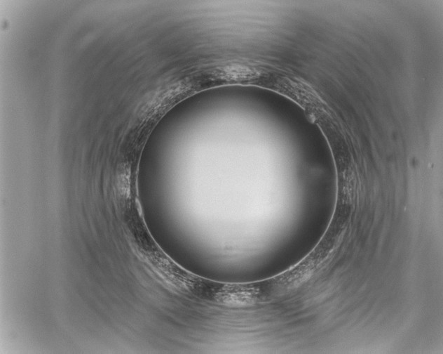 X0000059820368200510241401