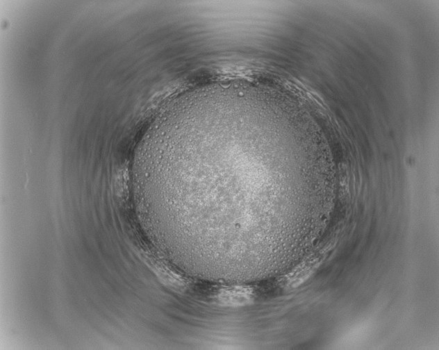 X0000059820369200510241401