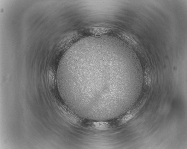 X0000059820371200510241401