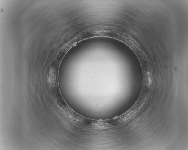 X0000059820372200510241401