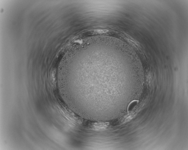 X0000059820373200510241401