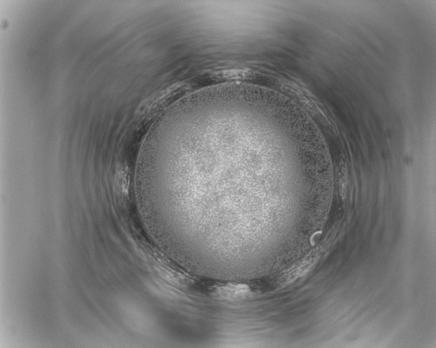 X0000059820374200510241401