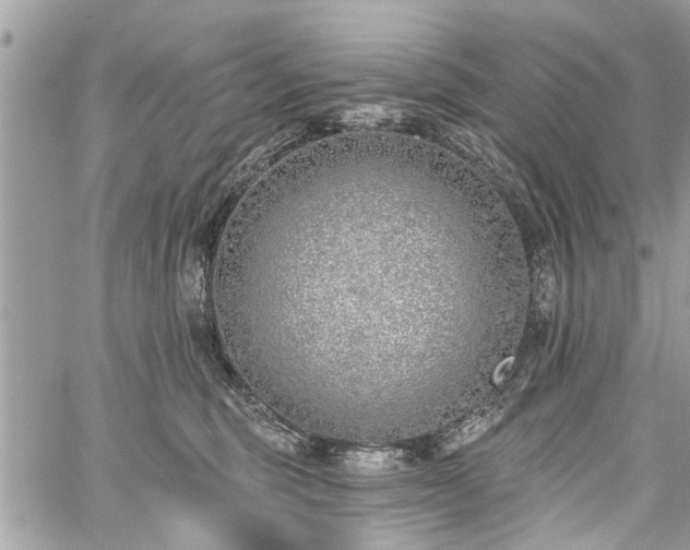 X0000059820375200510241401