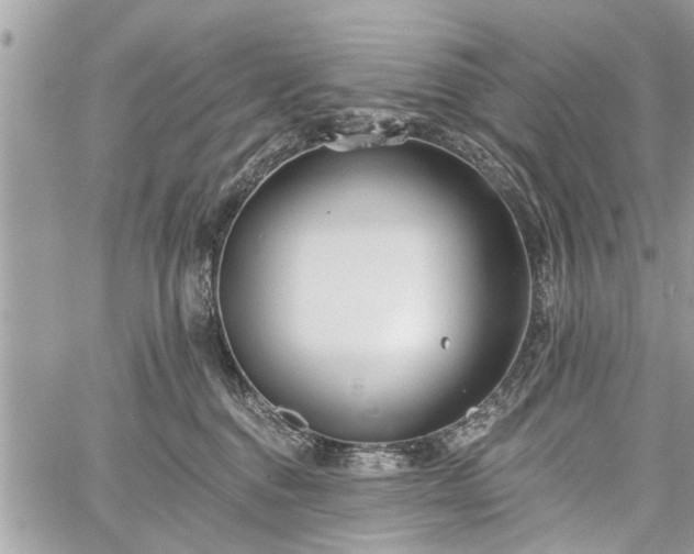 X0000059820376200510241402