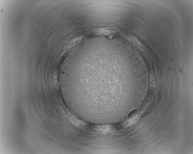 X0000059820377200510241402