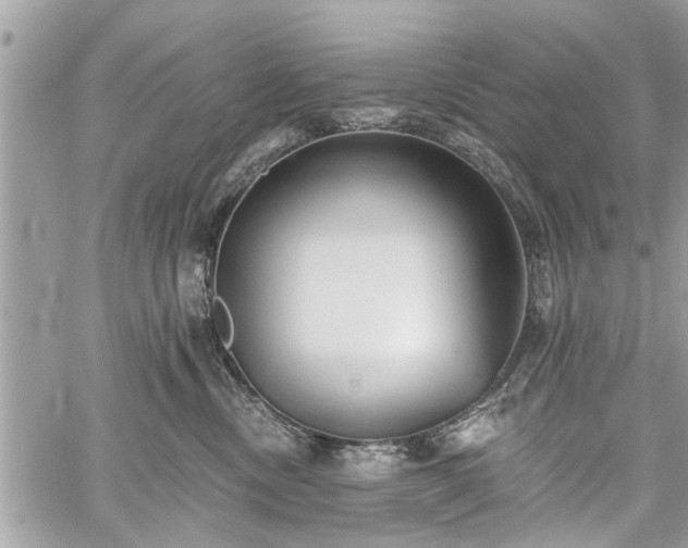 X0000059820378200510241402