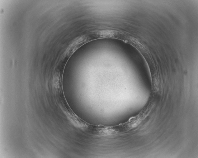 X0000059820379200510241402