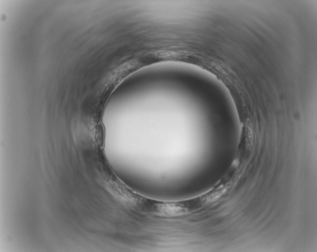 X0000059820380200510241402