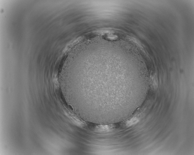 X0000059820381200510241402