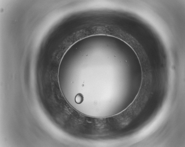 X0000059820382200510241402