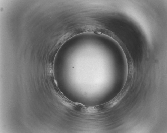 X0000059820383200510241402