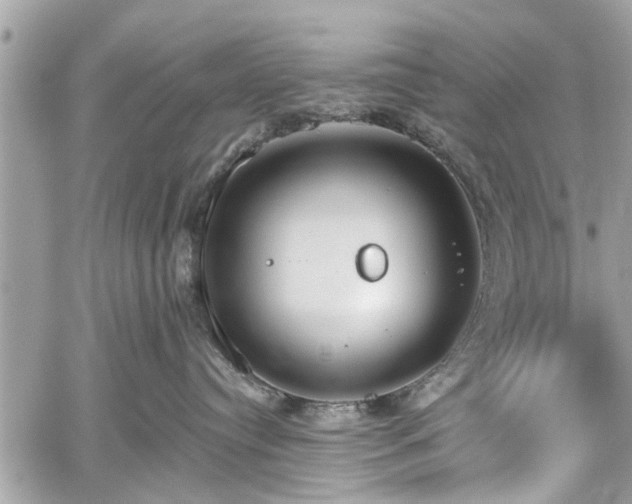 X0000059820384200510241402