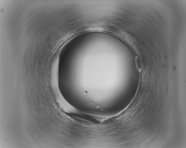 X0000059820385200510241401