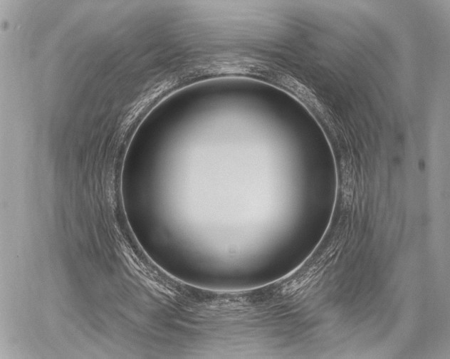 X0000059820386200510241401