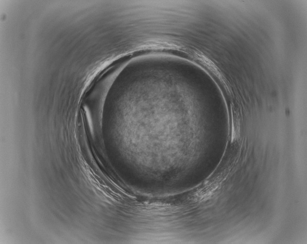 X0000059820387200510241401