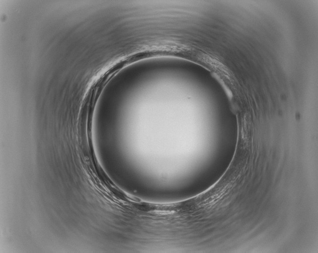 X0000059820388200510241401