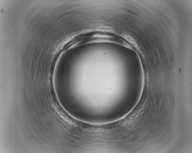 X0000059820389200510241401