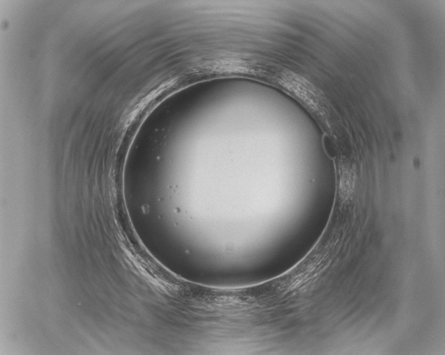 X0000059820390200510241401