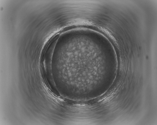 X0000059820391200510241401