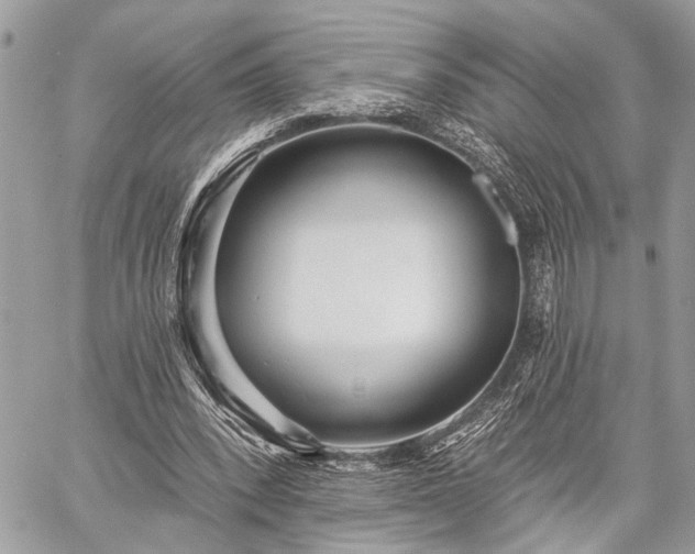 X0000059820392200510241401