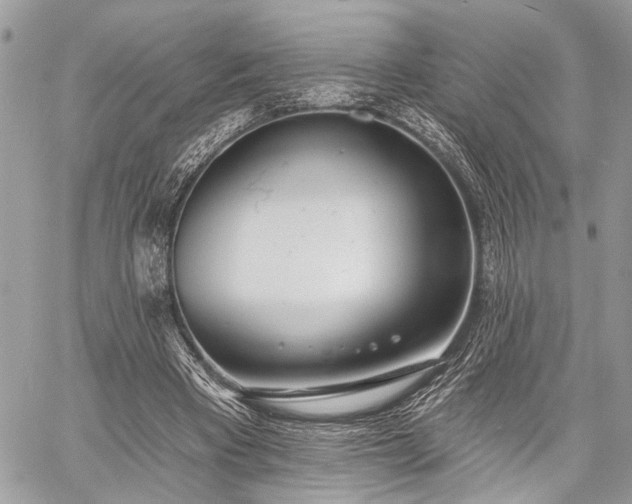 X0000059820393200510241401