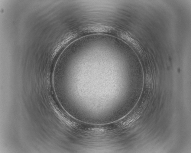 X0000059820394200510241401