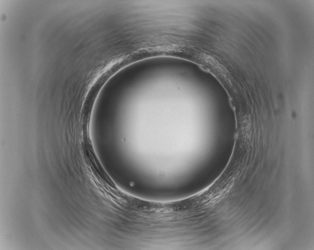 X0000059820395200510241401