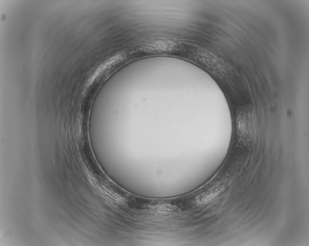 X0000059820396200510241401