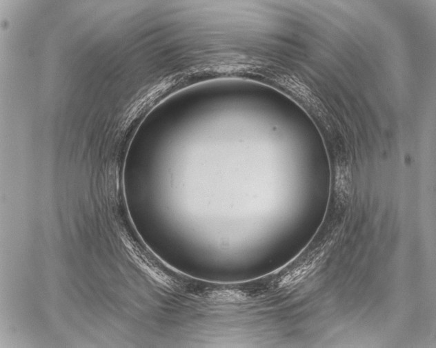 X0000059820397200510241401