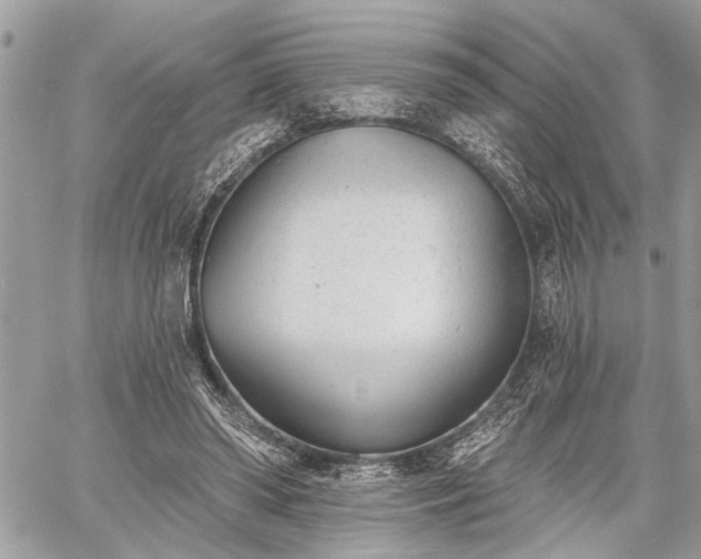 X0000059820398200510241401