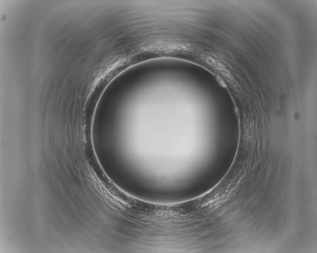 X0000059820399200510241401