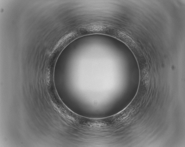 X0000059820400200510241401