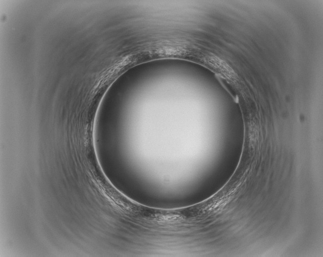 X0000059820401200510241401