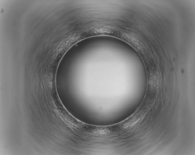 X0000059820402200510241401