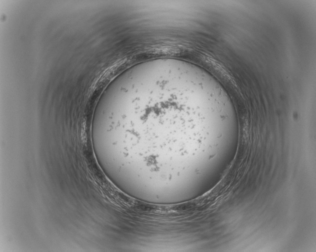 X0000059820403200510241401