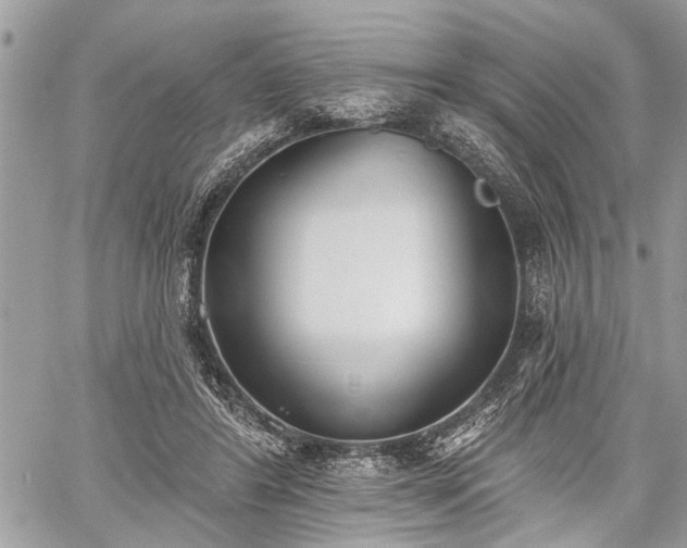 X0000059820404200510241401