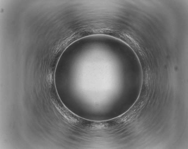 X0000059820405200510241401