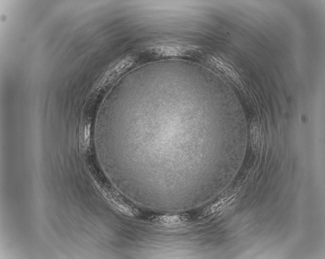 X0000059820406200510241400