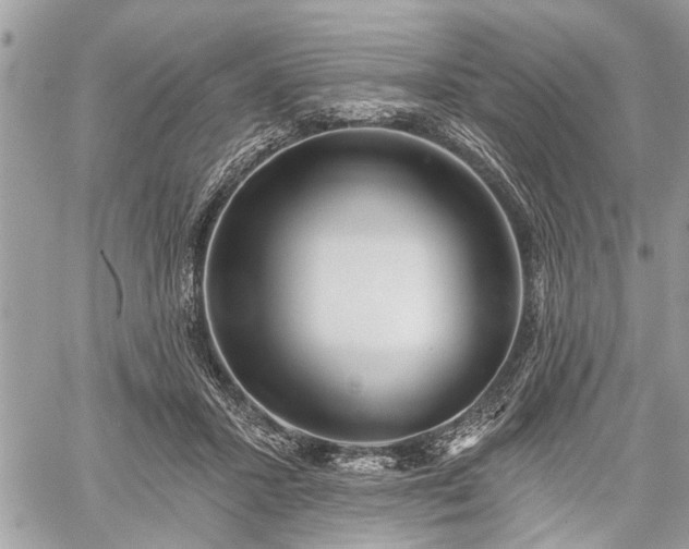 X0000059820407200510241400