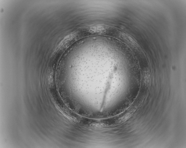 X0000059820408200510241400